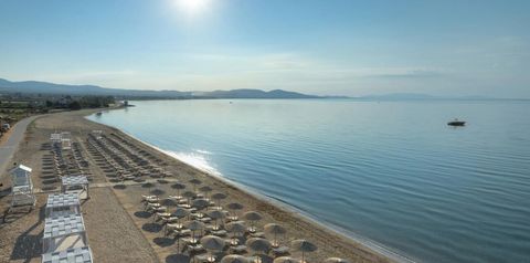 plaża