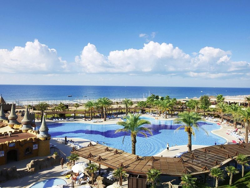 Blue Palm Garden