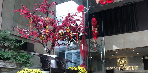 obiekt, recepcja / lobby