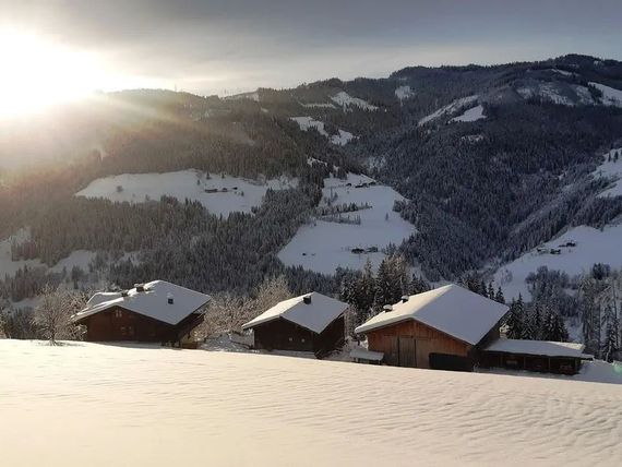 Brandgut 3.5*