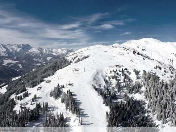 Brindlinger Gasthof 3*