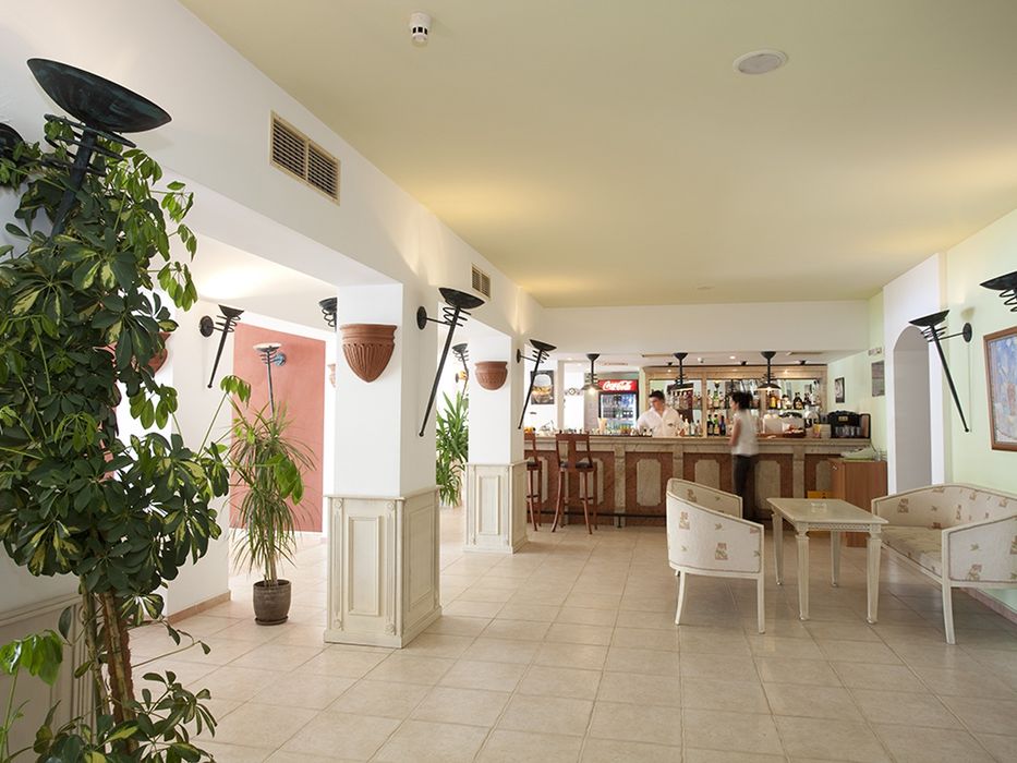 drink bar