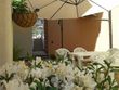 Top Sozopol