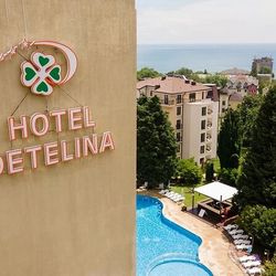 Detelina