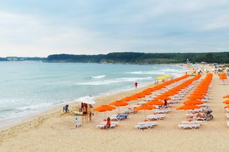 Forest Beach