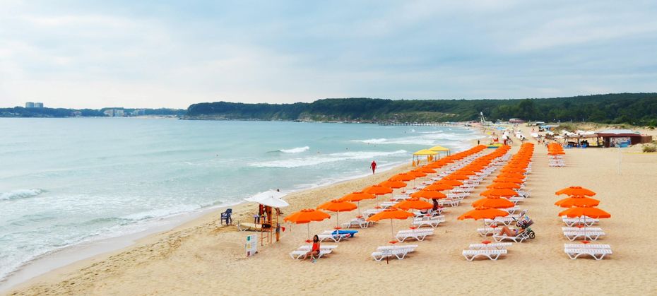 Forest Beach