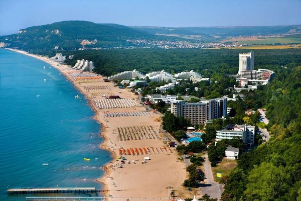 Orchidea (Albena)