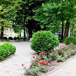 Primasol Ralitsa Aqua Club