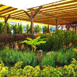 Sunrise Complex Sunny Beach