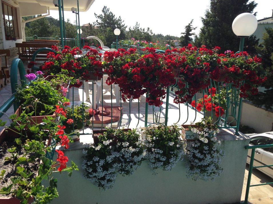 teren hotelu