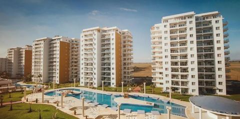 obiekt, teren hotelu, basen