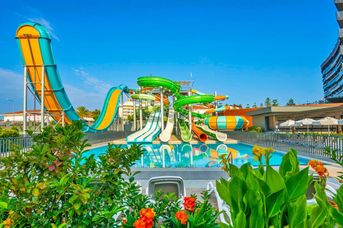 Calyptus Kirman Premium