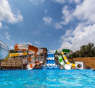 zdjęcie oferty Caretta Paradise