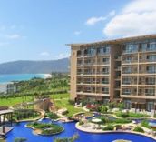 Mangrove Tree Resort