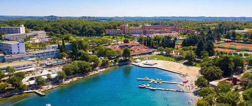 Albatros Plava Laguna