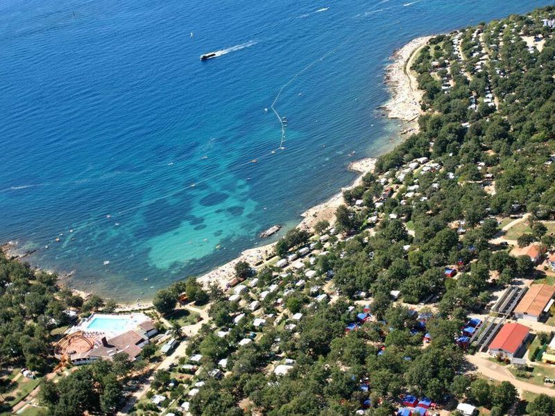 Albatross Bijela Uvala