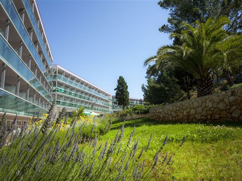 Aurora (Mali Losinj)