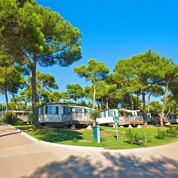 Camping Arena Indije
