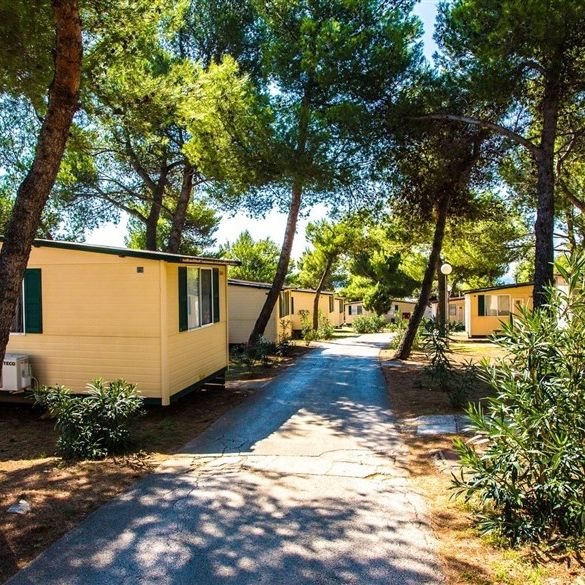 Camping Arena Indije