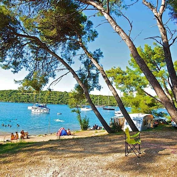 Camping Arena Indije