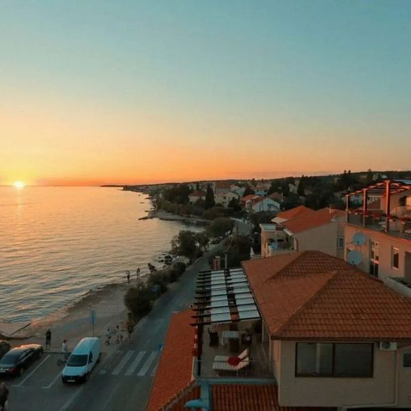 Delfin (Zadar)