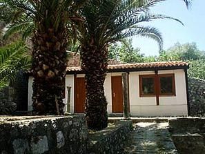 Rasica