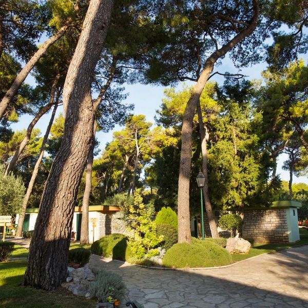 San Antonio (Biograd na Moru)