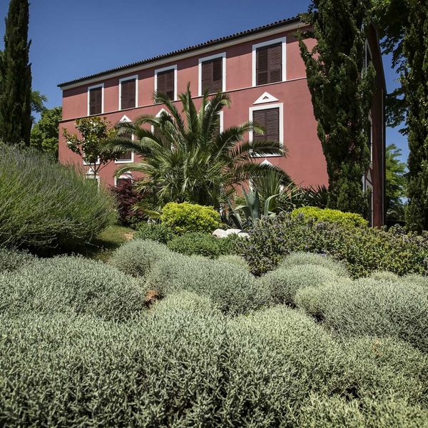 Villa Donat (Sv. Filip i Jakov) - zdjęcie 4