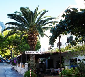 Villa Pansion Palme