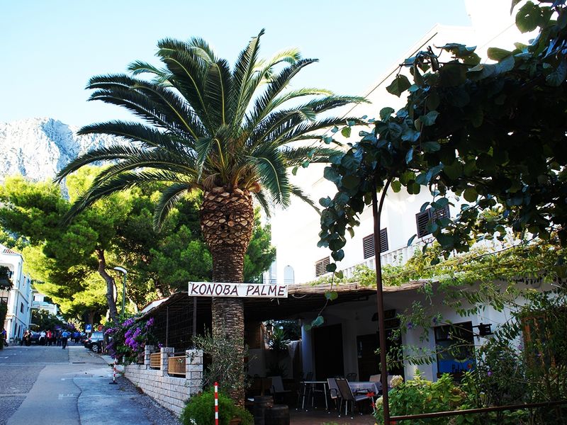 Villa Pansion Palme 3*