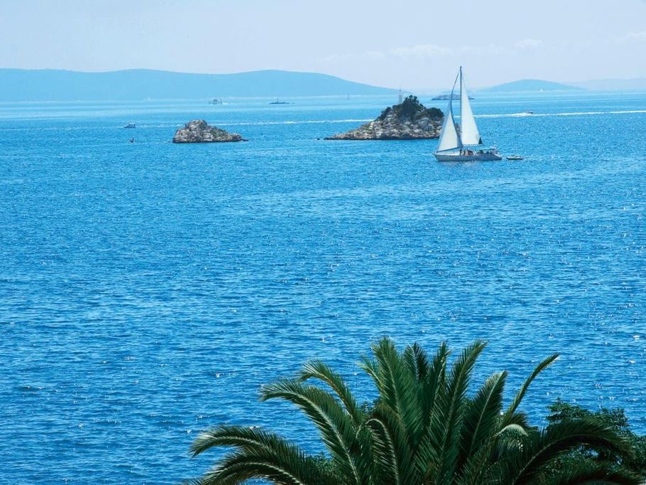 okolica