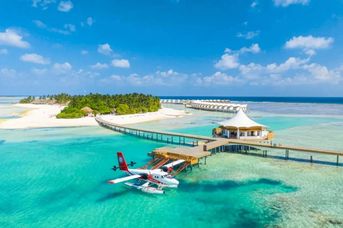 Cinnamon Hakura Huraa (ex Chaaya)