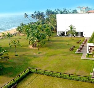 zdjęcie oferty Citrus Waskaduwa