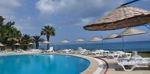 plaża, teren hotelu, basen