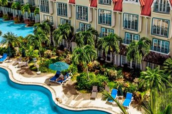 Coco Palm