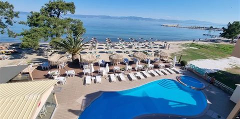 basen, plaża, teren hotelu