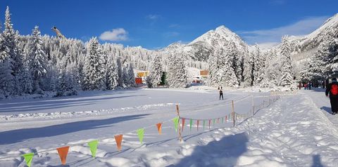 sport i rekreacja, zwiedzanie