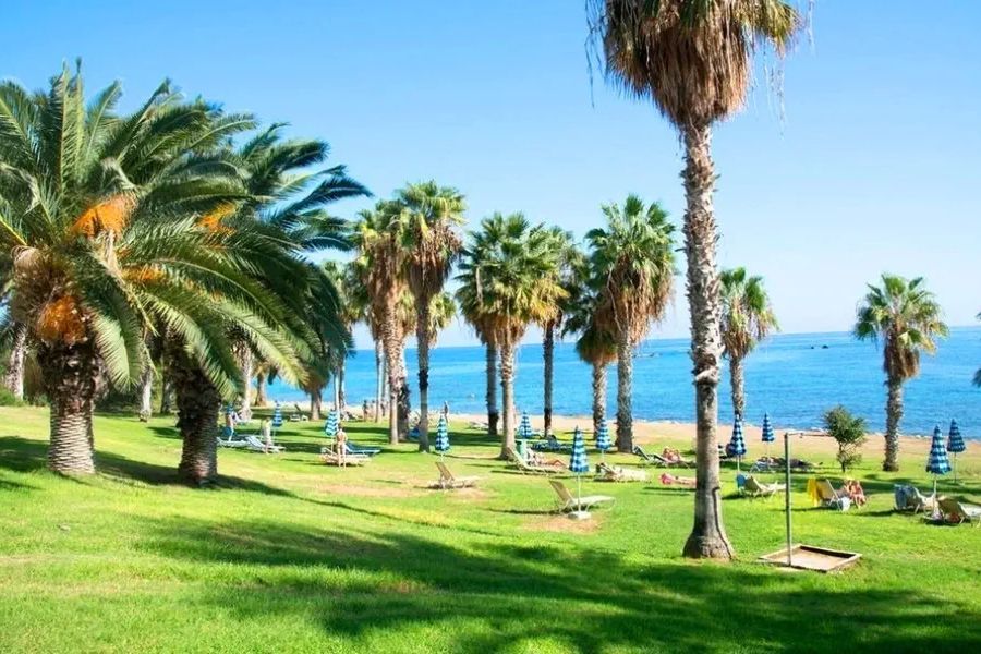 Ascos Coral Beach - teren hotelu