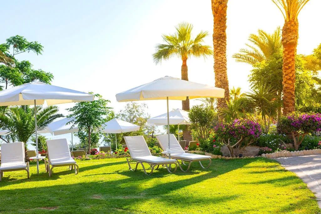 Crystal Springs Beach - teren hotelu