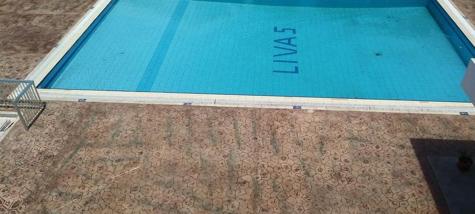 Livas