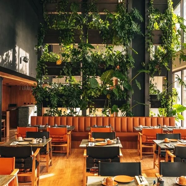 M Boutique Hotel (ex. Daphne)