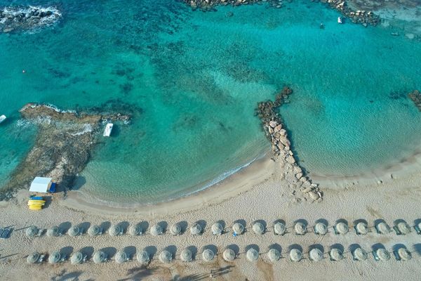 Mare