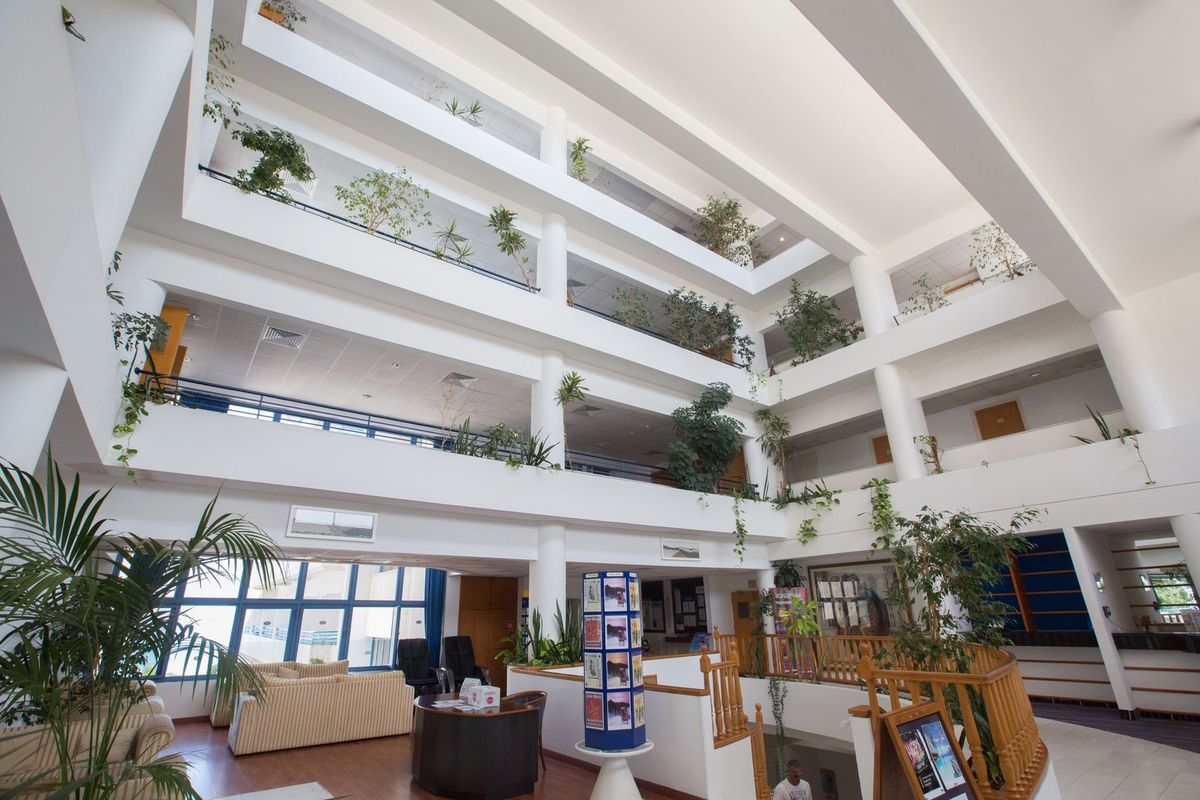 Tsokkos Iliada Beach - recepcja / lobby