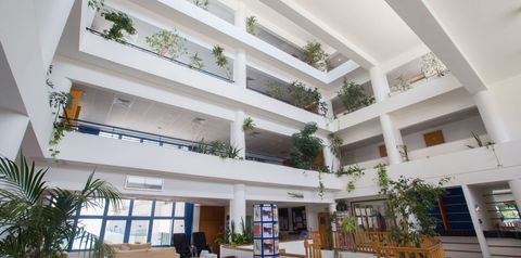 recepcja / lobby