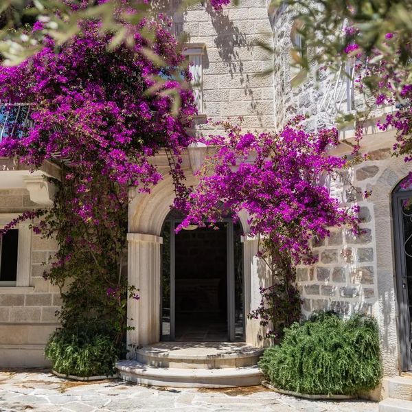 Apartamenty Pietra Mare