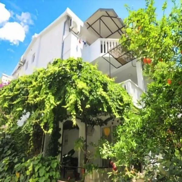 Apartments Jelena 27