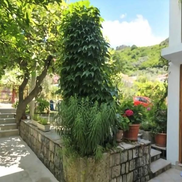 Apartments Jelena 27