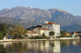 Palma (Tivat)