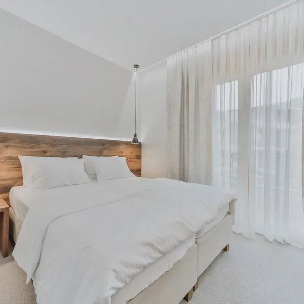 Vladimir - zdjęcie 5