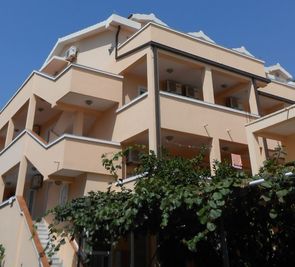 Zoran (Budva)
